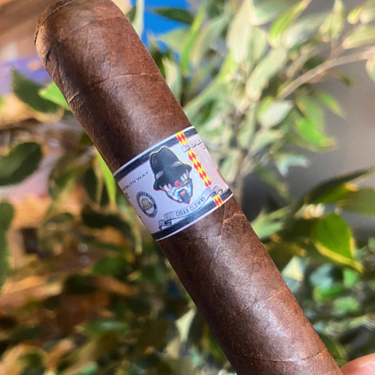 PerfectAsh_MN's tweet photo. 🚨The June LCA Release is here: Cigar Clowns "The Ron" by AJ Fernandez LCA Exclusive. 
This gem is a very full-flavored, rich, complex, and full of transitions. This baby is definitely a cigar for the experienced smoker.  Limited quantities are available so come get yours today! https://t.co/6d7pmLLjqo