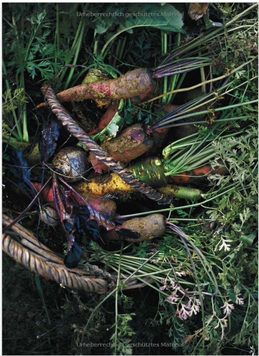 HerrGruenkocht's tweet photo. Ein Kochbuch, das ich ganz toll finde, selber besitze und das ich immer mal wieder lese, weil es so toll gemacht ist: »Leaf to Root«
#Kochbuch #Empfehlung #Nachhaltigkeit #KeineWerbung #Leaftoroot #vegetarisch #vegan https://t.co/7WYHheYcVV