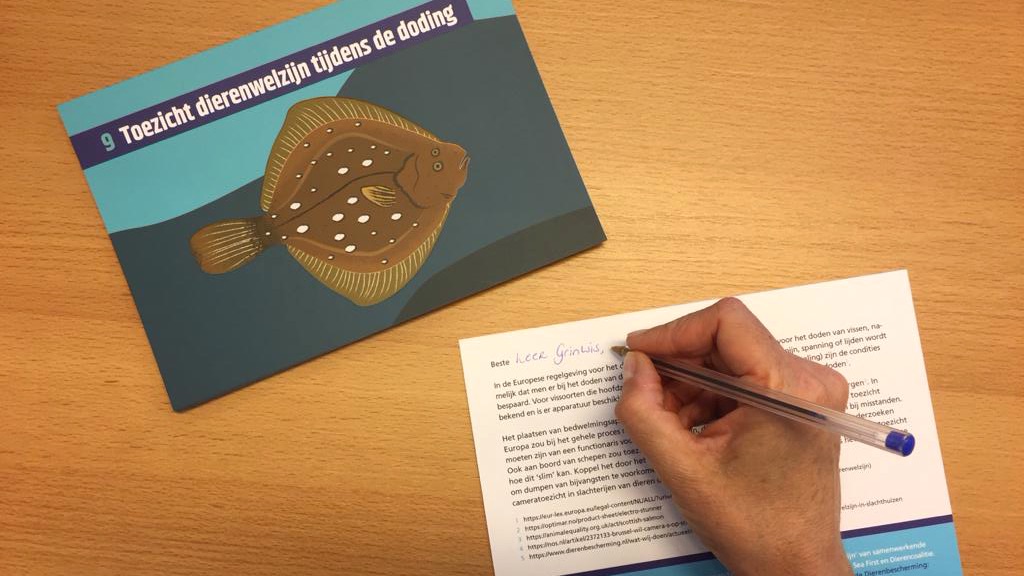 Dierbescherming's tweet image. #VissenVrijdag Punt 9: Toezicht dierenwelzijn tijdens de doding bit.ly/3uPr07Y.

Kaart zit op de bus, politiek is aan zet.