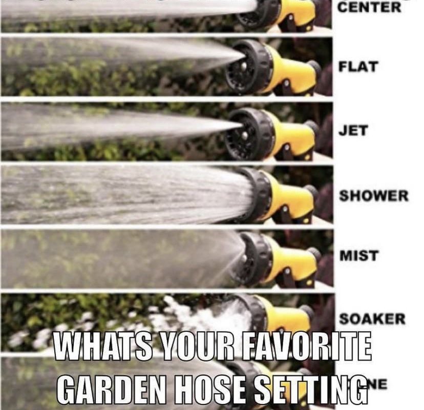 WholesomeMemes tweet media