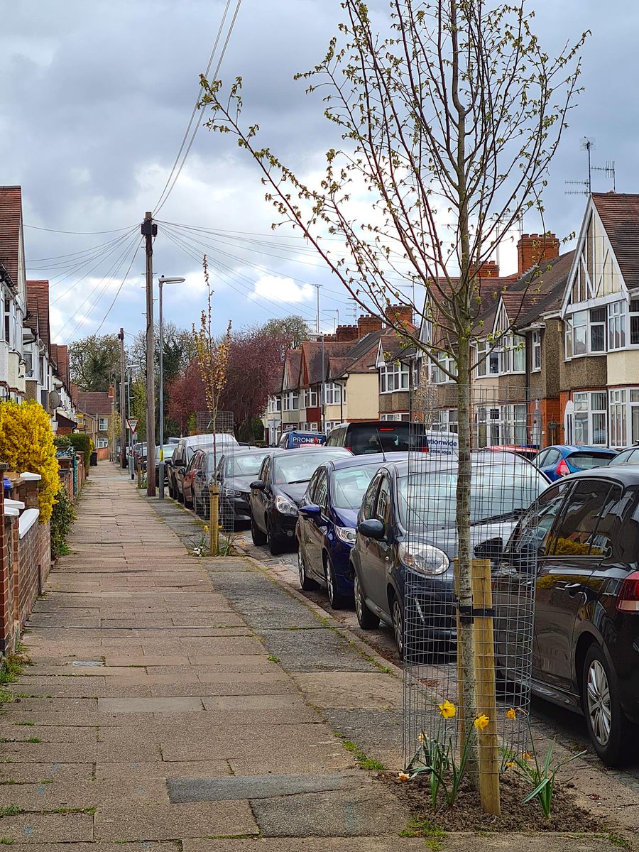 SaveStreetTrees's tweet photo. Our founder Alice will be out doing some weeding and tidying of the #tree pits in Penrhyn Road, #FarCotton, early afternoon on Sunday June 6th. She would LOVE some help 😀 If you have a spare half an hour please join her in prettifying your pits! #saveourstreettrees https://t.co/48wGBlbNBB