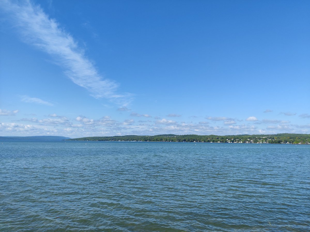 Jamie Manciocchi tweet media