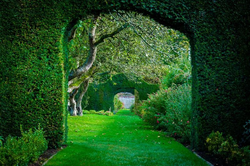 The Hedge Gardening trend! 

With so many uses at creating a statement in the #garden we're starting to see designers find new plants and styles for #hedgeplanting to maximise the potential of this important feature.

Read more buff.ly/3ihp7ON

#genusgardenwear #hedges