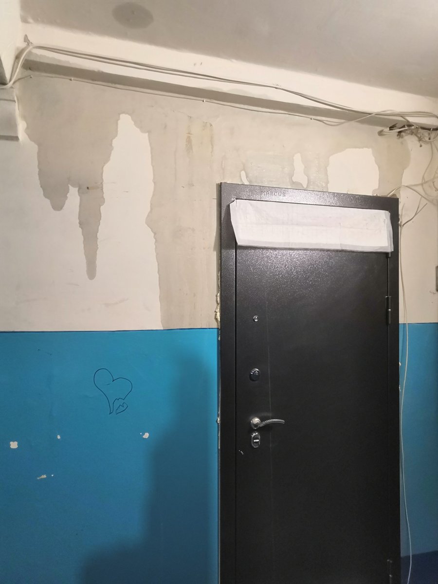 Людмила tweet media