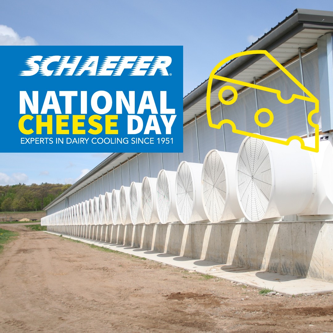 SchaeferFan's tweet photo. Happy National Cheese Day! Support your dairy farmers and eat some cheese today! #saycheese #coolcows https://t.co/KVxx7z6G9r