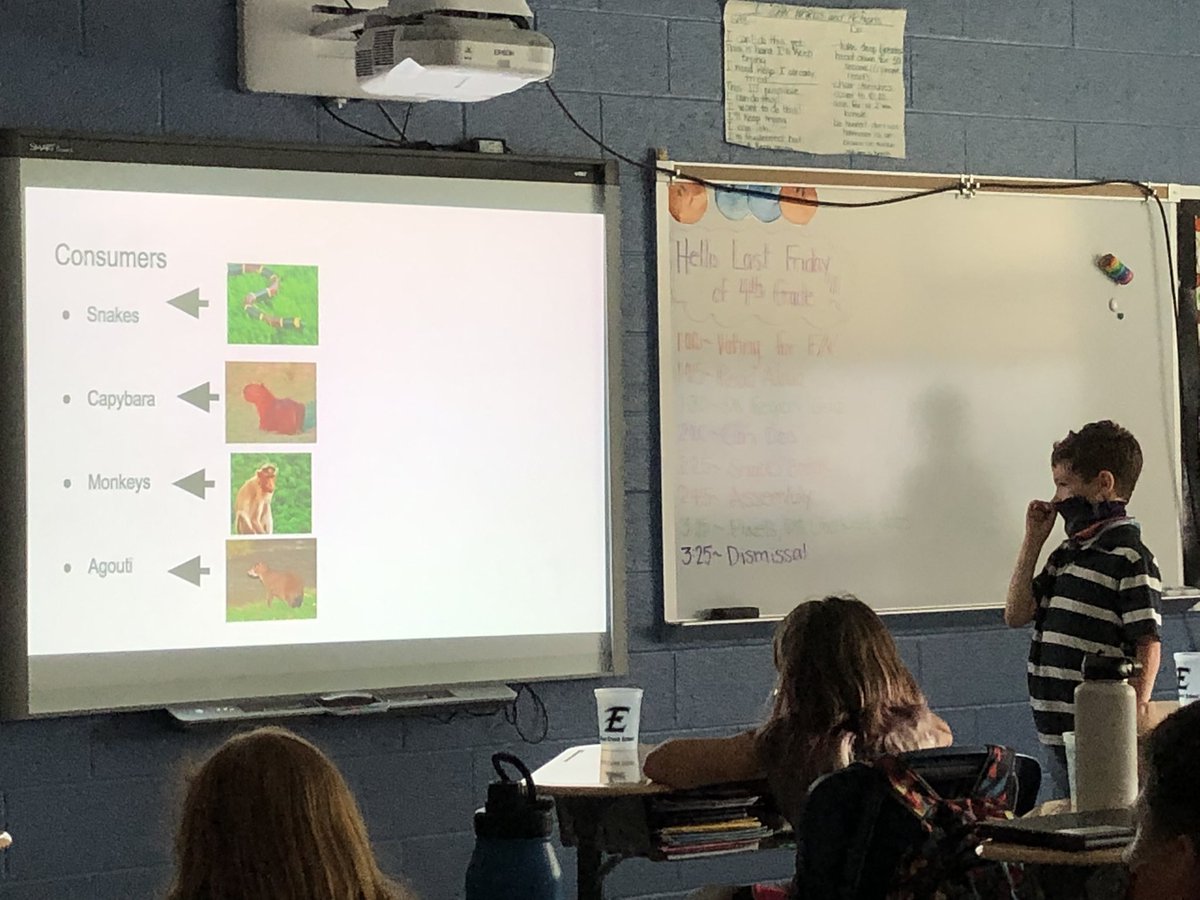 Fearless4th's tweet image. Today we’re off to the rainforest! This may be the most beautiful biome! #4thscience @BearCreekEtown