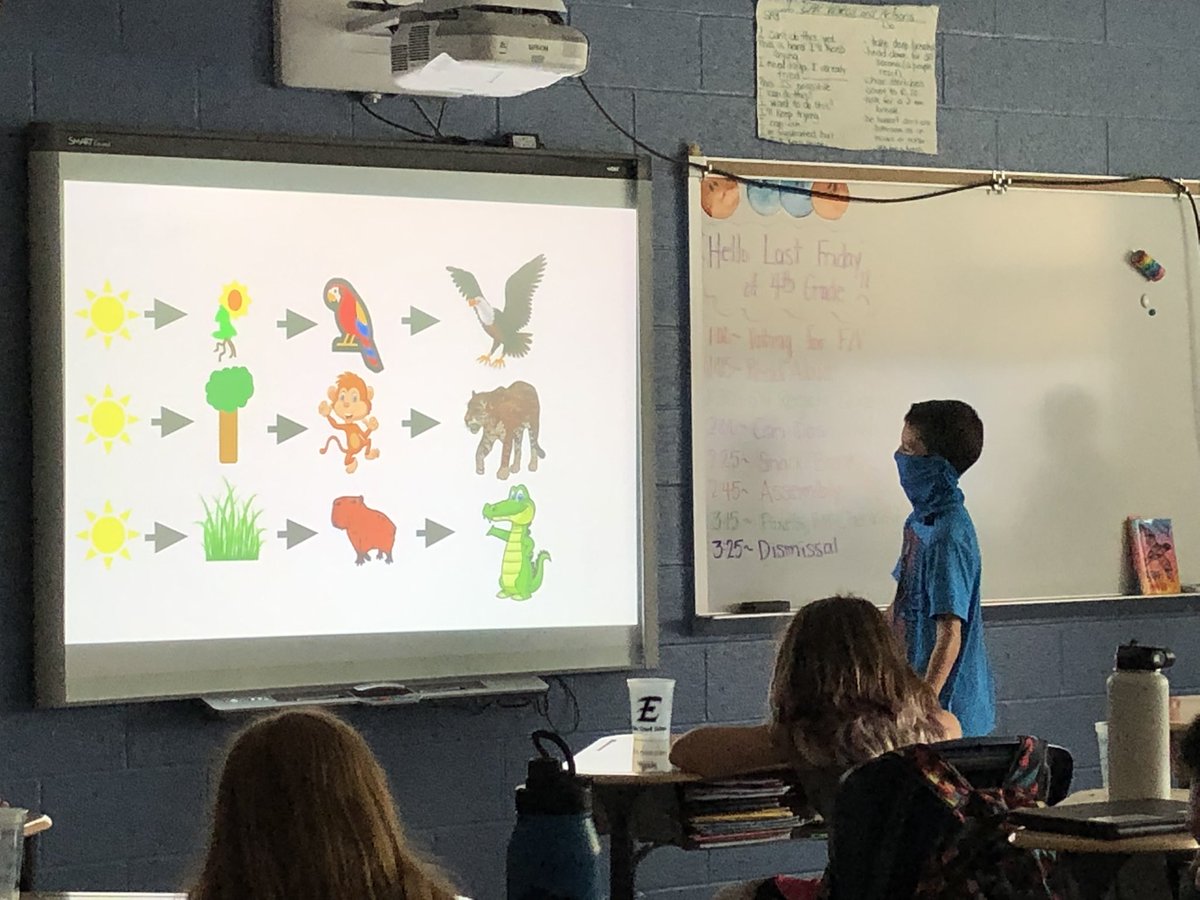 Fearless4th's tweet image. Today we’re off to the rainforest! This may be the most beautiful biome! #4thscience @BearCreekEtown