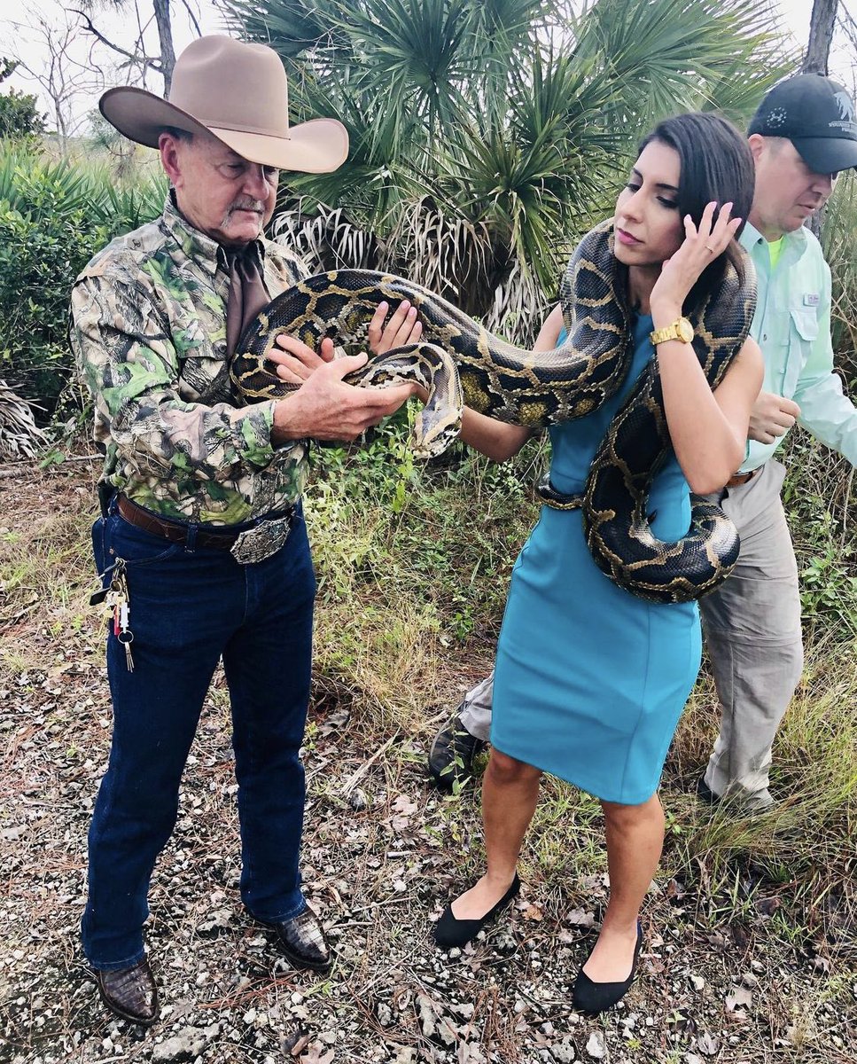 SairaWPLG's tweet photo. How it started —> how it’s going 😂 #flpythonchallenge
https://t.co/GuJoplwNN0 https://t.co/lxb4H0vObc