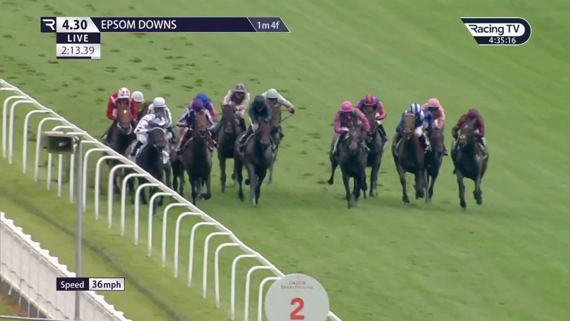 [聊天] 大震撼產駒制霸英國橡樹