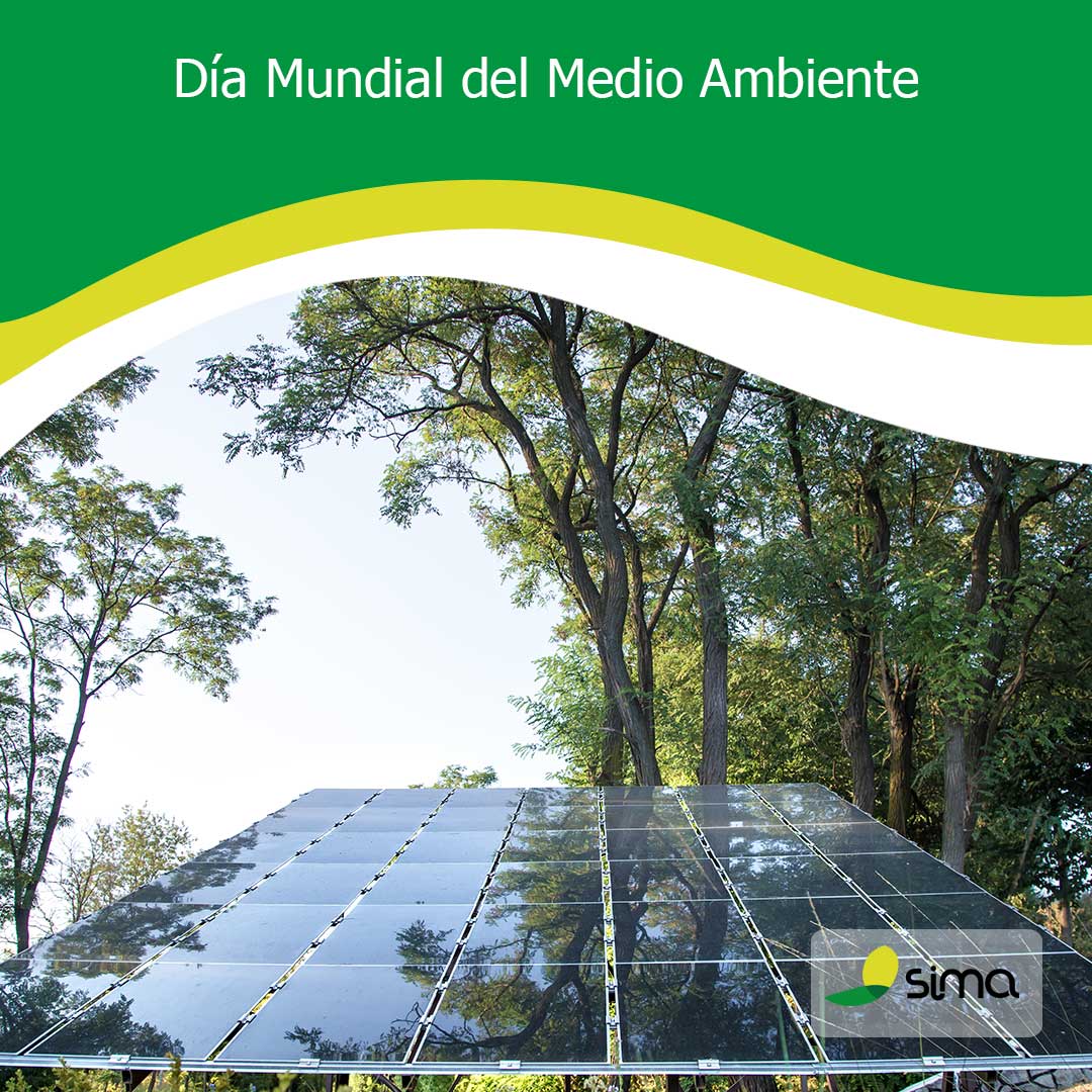 SimaServicios tweet media
