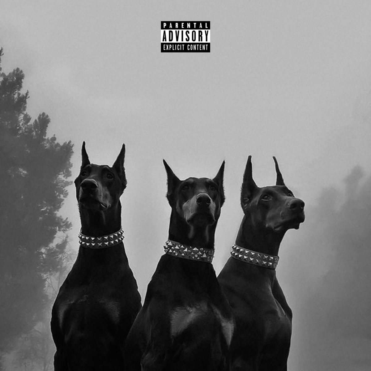 _antwano_'s tweet photo. BIG DOGS OUT NOW! 🐺🔥
@itslegaciii
@evilwayzent 

https://t.co/8PLTpd3n0A https://t.co/DLq0GLlyqJ