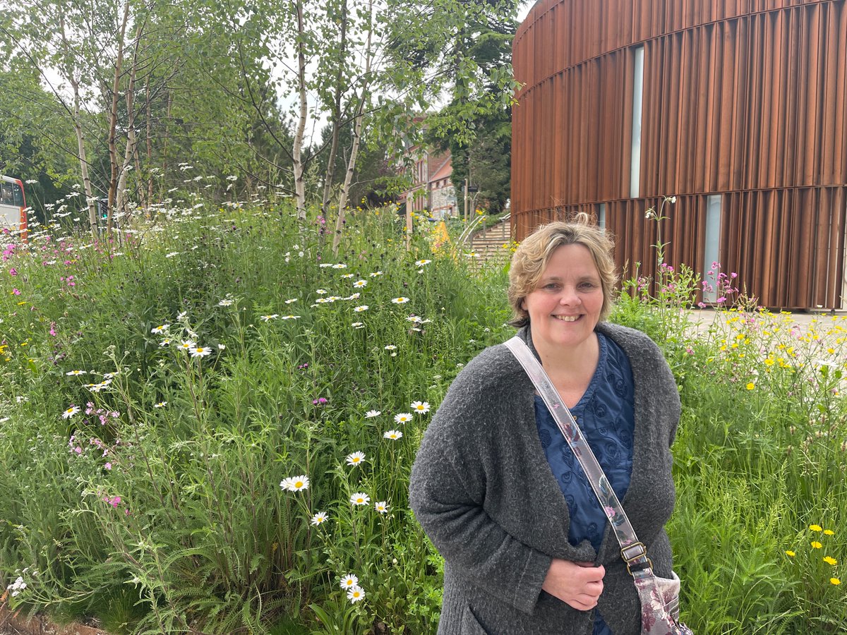 Lynda_Lib_Dem's tweet image. Very impressed by the wildflower display (and statue!) at Winchester University @_UoW  #biodiversity #climatechange