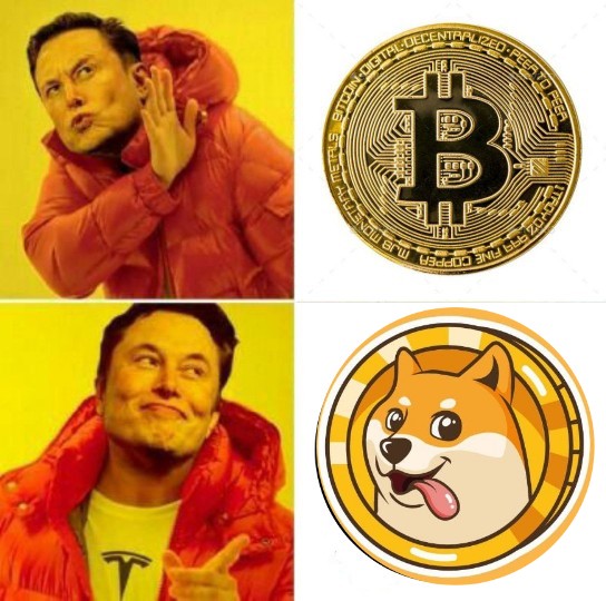 21Muino's tweet photo. @MemedogeF My entry
 @MemedogeF 
#MDOGE #meme #DOGE #MemeContest 
$MDOGE https://t.co/Cr0iFciJgs