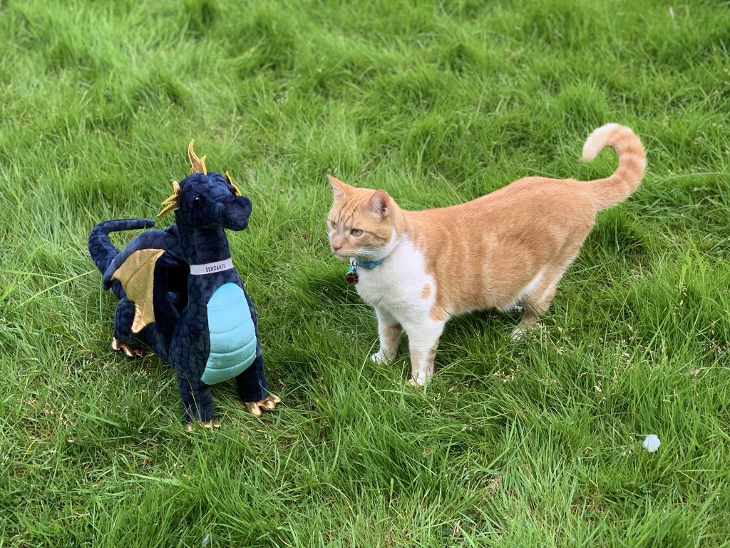 TheSercanteDragon tweet media