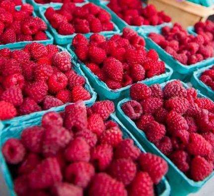 FallLineFarms's tweet photo. Raspberries are In! Plus Fresh Eggs, Garlic Scapes, and Empanadas! https://t.co/froIG6TwNt https://t.co/nvAwHGJb71