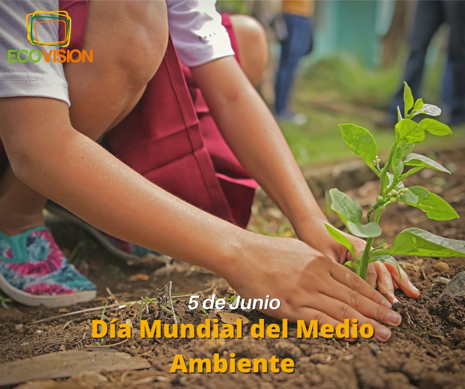 Es una ocasión para reflexionar sobre nuestro comportamiento hacia la tierra y lo que la habita

Por eso es importante que tomemos conciencia y ayudar en todo a nuestro alcance como humanos 

#Ecovision #5Junio #amor #vidaverde #ecofriendly