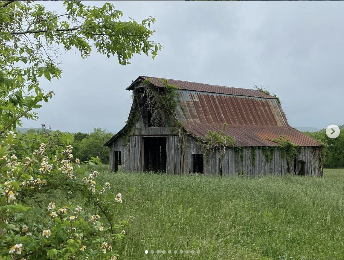 4AgForLife's tweet photo. Barn pic of the day.
"Barns and backroads" 📷by trainerproffitt on IG
#barns #oldbarns #oldbarnsofinstagram #barnsofinstagram #backroads #explore #farm #farmlife #farmlifestyle #photography #countryphotography #roots #instaphotography #art #country #calm #repost https://t.co/9mArJQxYlr