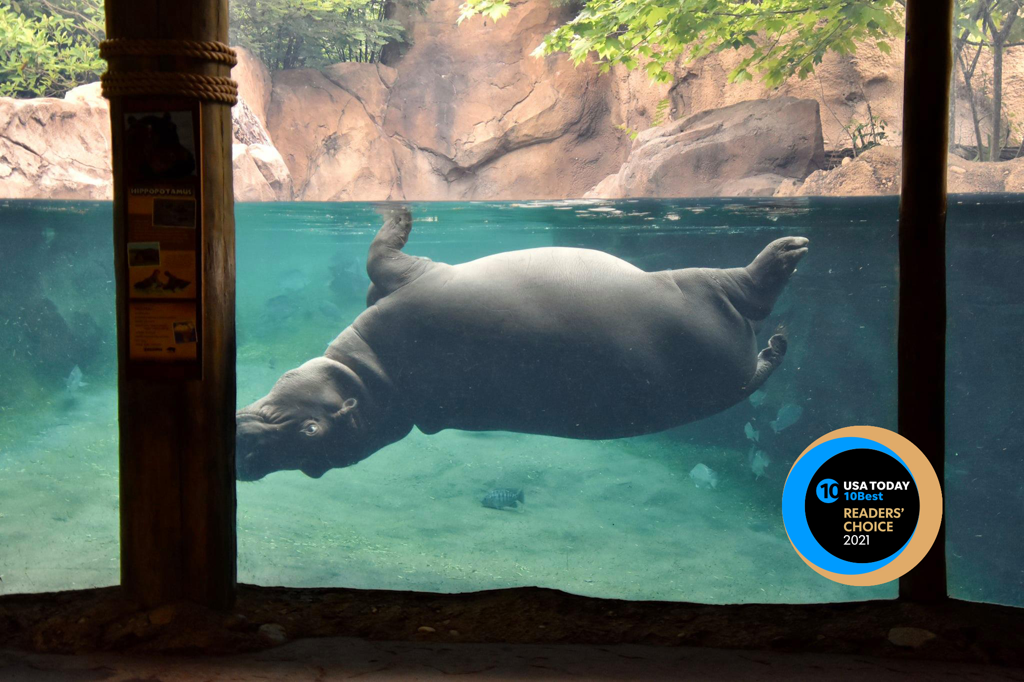 Cincinnati Zoo on Twitter "We are over the moon!!! We won Best Zoo in