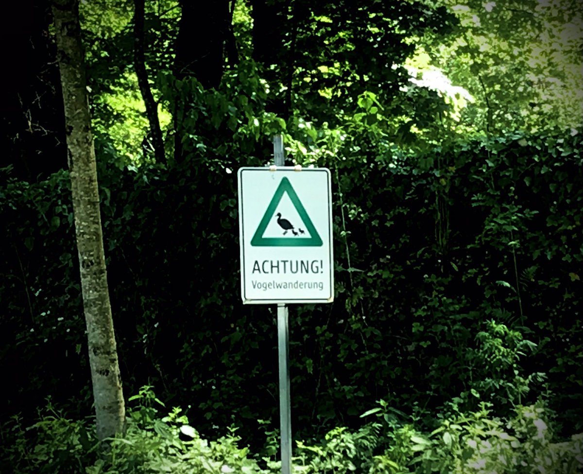 Ausflug #Sommertage #Salzburg-Umgebung