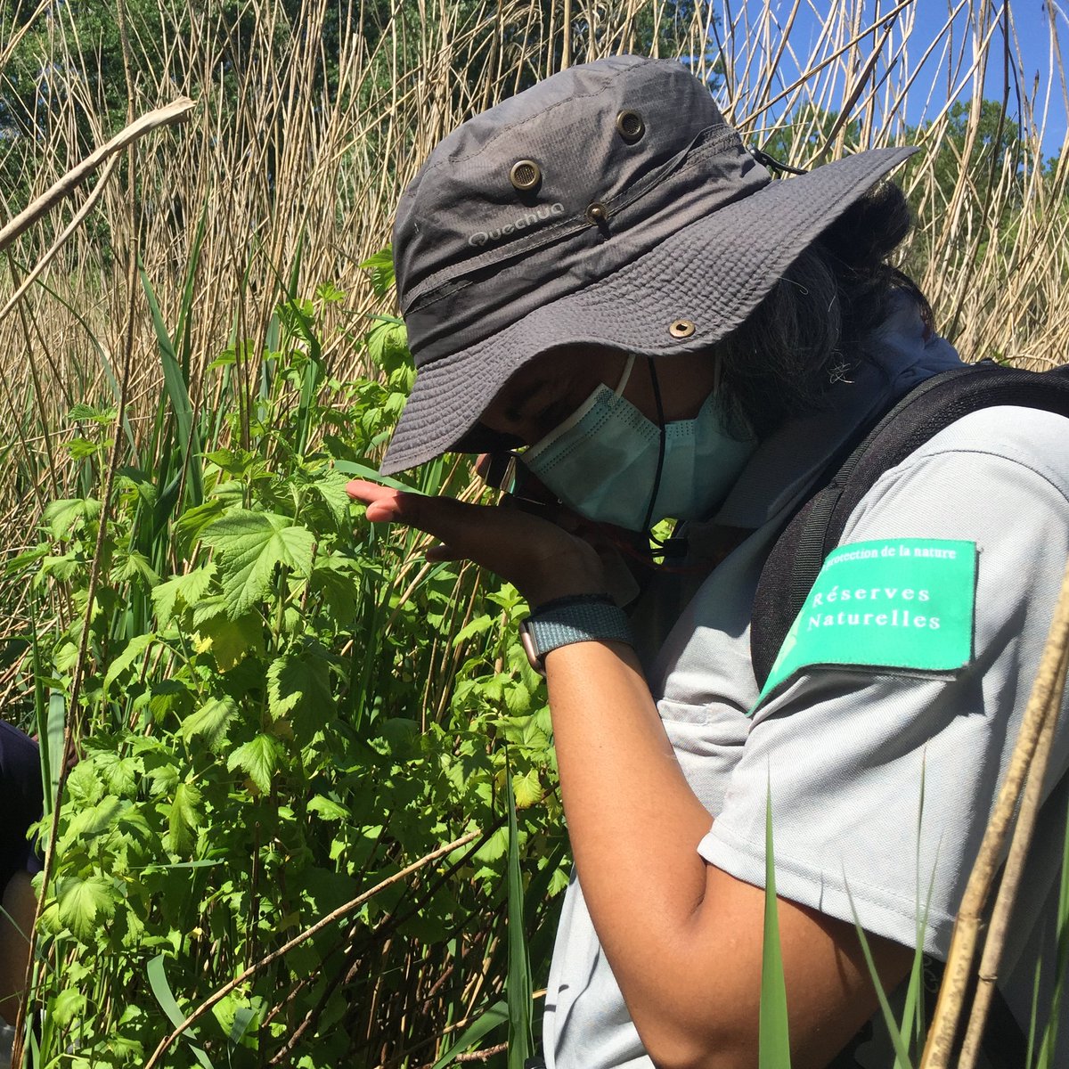 Natura2000IdF's tweet photo. 🆕Le 1er juin dernier, le @ParcGatinaisFr et la #DRIEAT ont organisé une journée de sensibilisation aux Vertigo (petits escargots) et leurs habitats en présence de gestionnaires de milieux naturels d'#IDF
Au marais de #Boigneville, les 2⃣ espèces #Natura2000 ont été observées ! https://t.co/wgNeHyvG4l