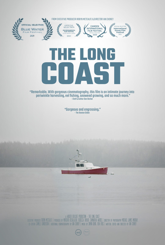 Blue Water Film Festival tweet media