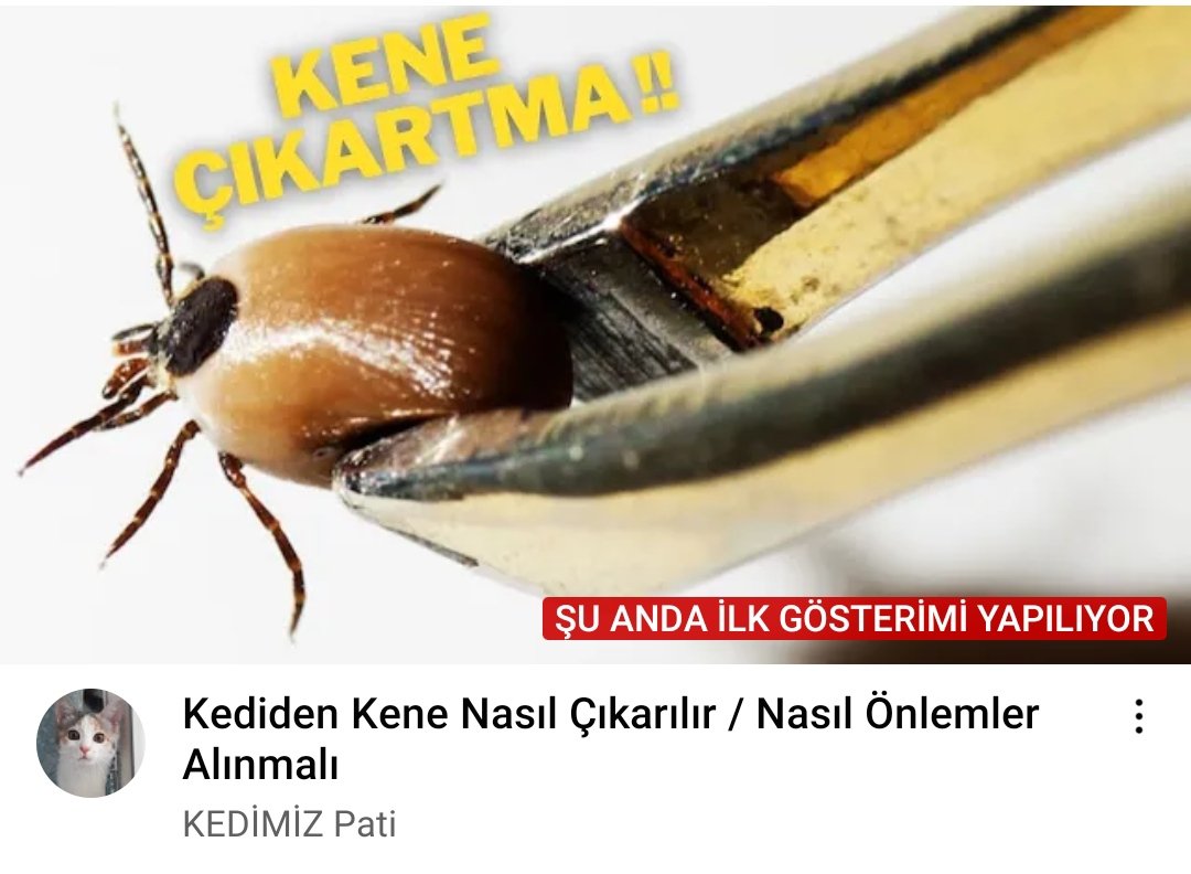 Yeni videomuzu izlermisiniz 🙏🥰
youtu.be/o0dQQCBm5jM