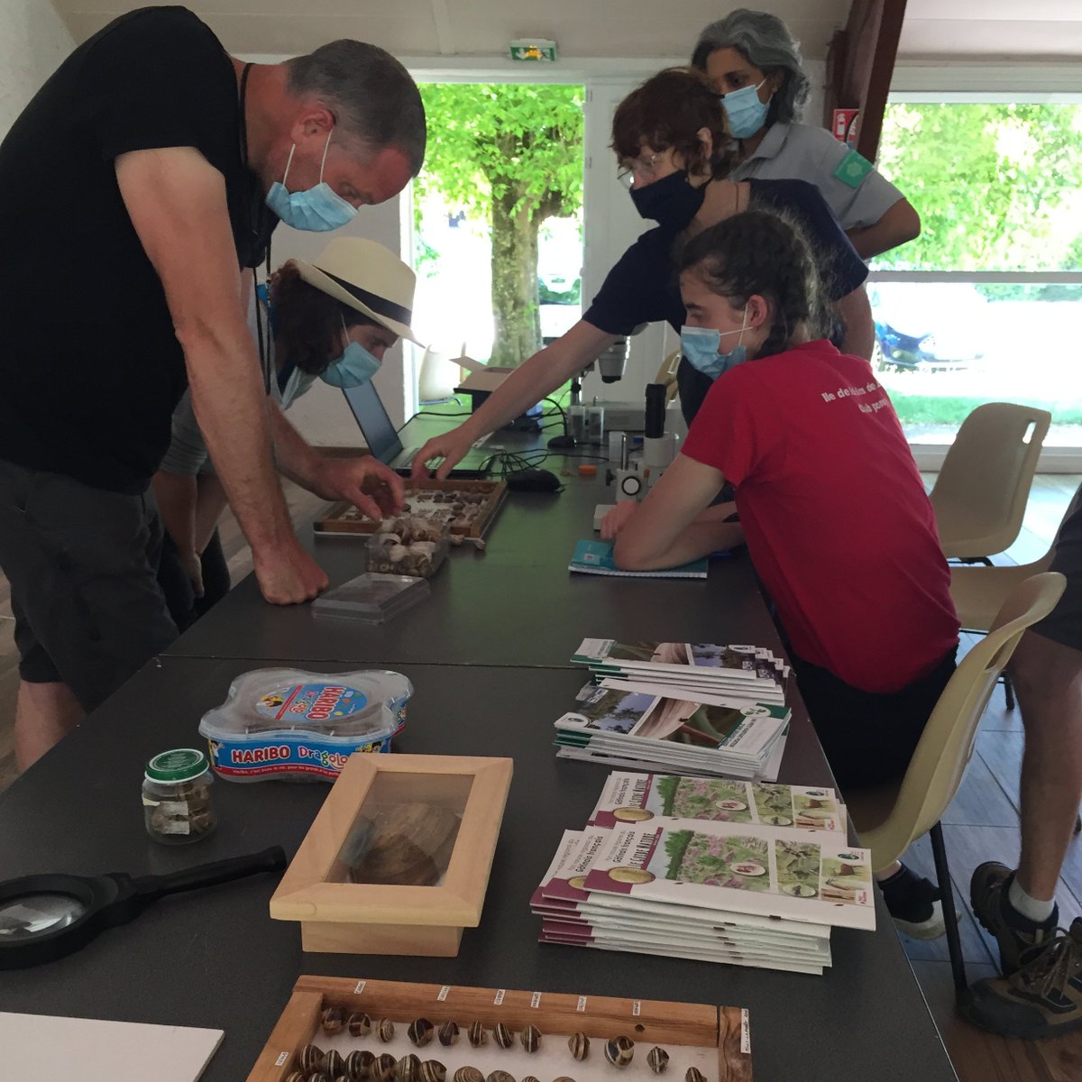 Natura2000IdF's tweet photo. 🆕Le 1er juin dernier, le @ParcGatinaisFr et la #DRIEAT ont organisé une journée de sensibilisation aux Vertigo (petits escargots) et leurs habitats en présence de gestionnaires de milieux naturels d'#IDF
Au marais de #Boigneville, les 2⃣ espèces #Natura2000 ont été observées ! https://t.co/wgNeHyvG4l