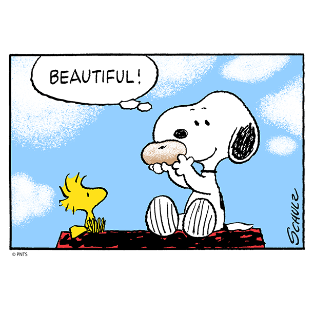 Find someone who looks at you the way Snoopy looks at a donut #NationalDonutDay