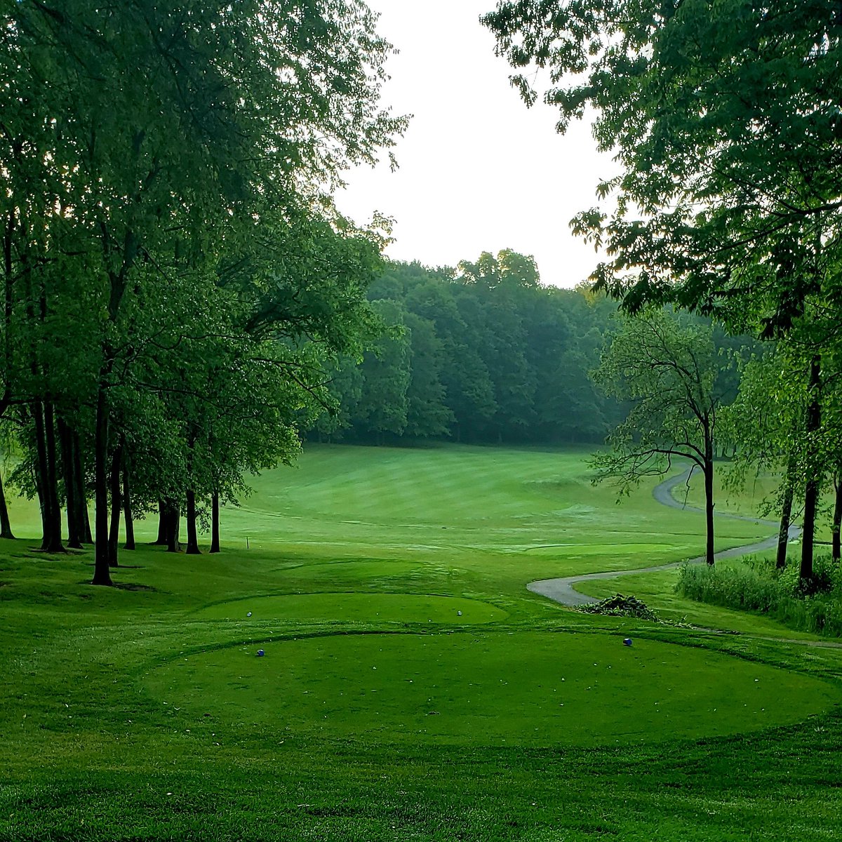 DeerRidgeOhio's tweet photo. The course is looking good for the weekend! There are no cart path restrictions. Go to https://t.co/c6MTIOjzl5 or call 419-886-7090 for tee times! #DeerRidge #ohiogolf #ohiogolfcourses https://t.co/wv9L4IH1mT