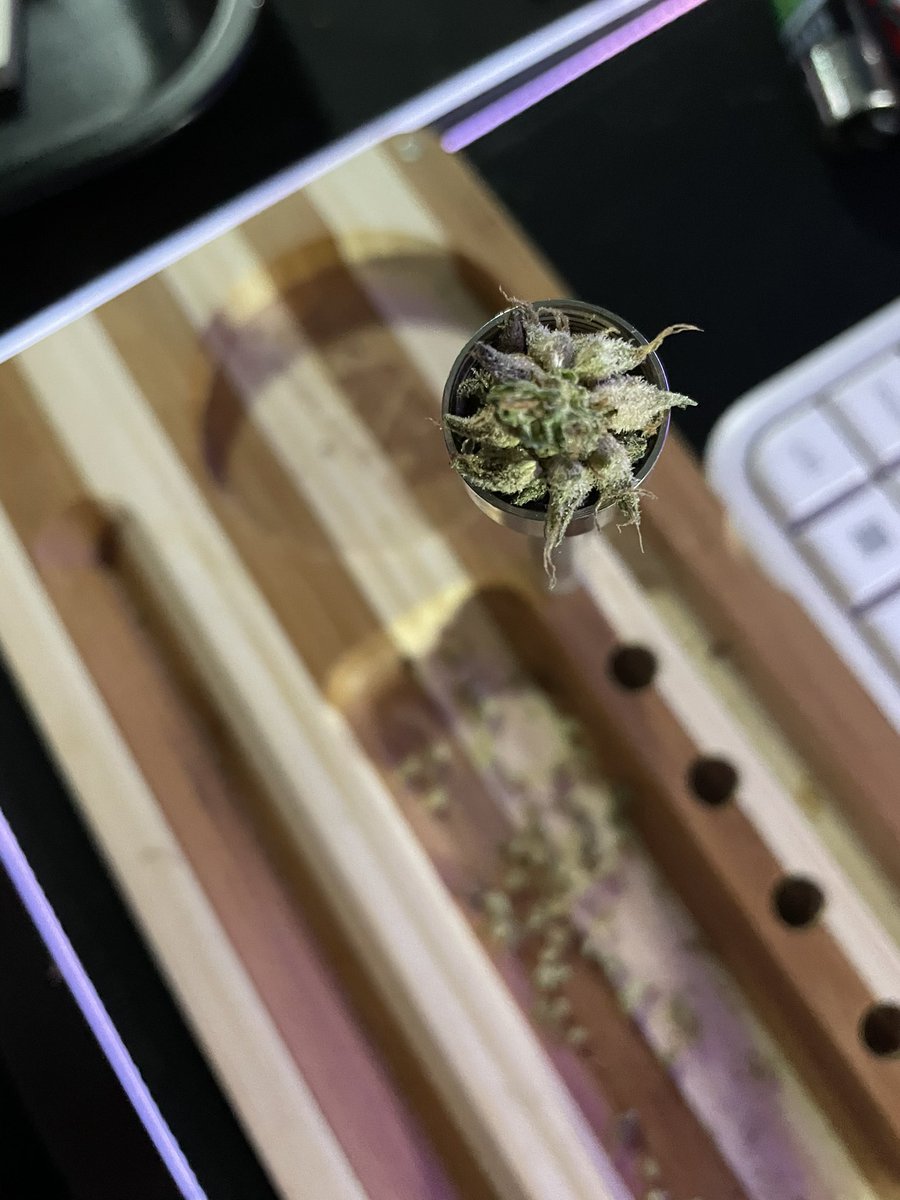 creamypop025's tweet photo. #bong #420friendly #liante https://t.co/hxfgUn5p8q