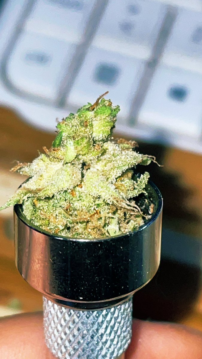 creamypop025's tweet photo. #bong #420friendly #liante https://t.co/hxfgUn5p8q