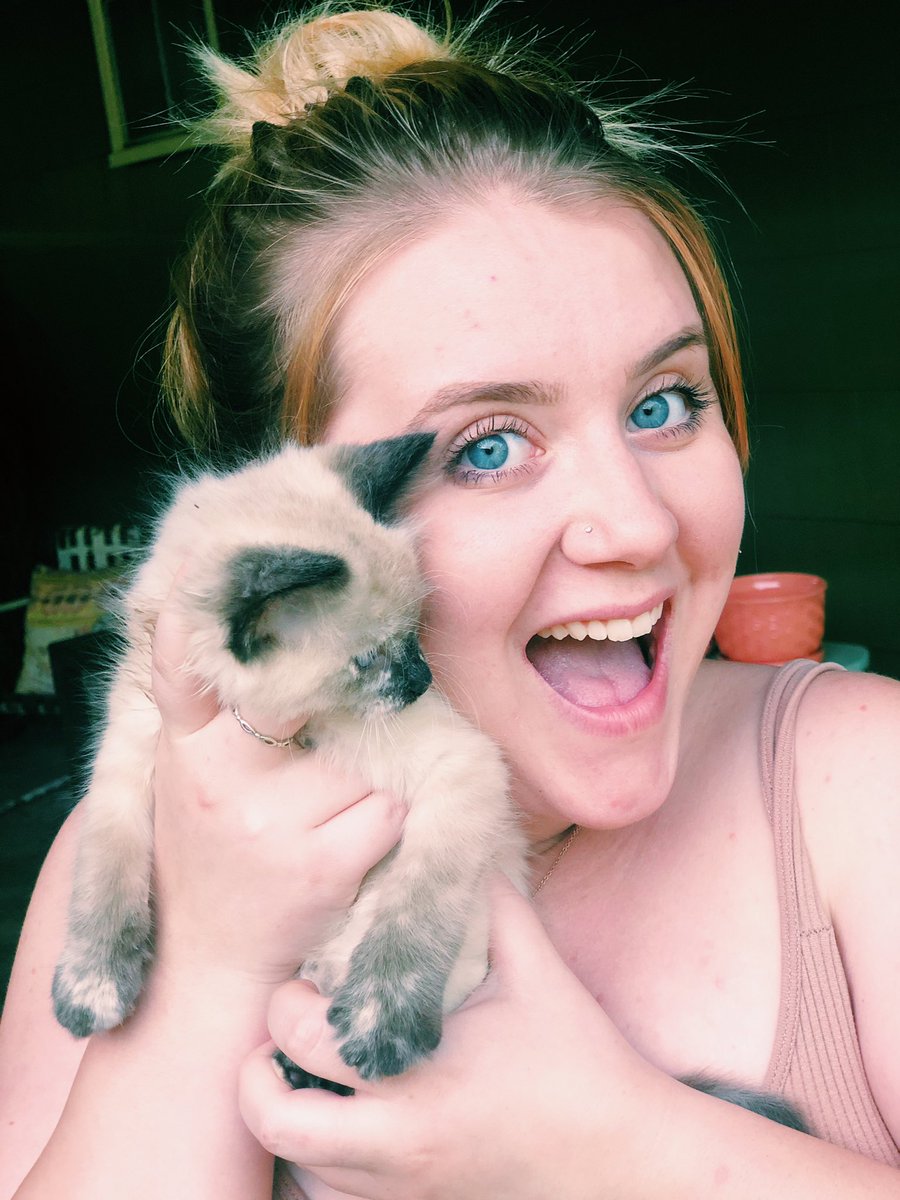 MaleahHarrison's tweet photo. Itty bitty kitty committee https://t.co/omLE991k9L