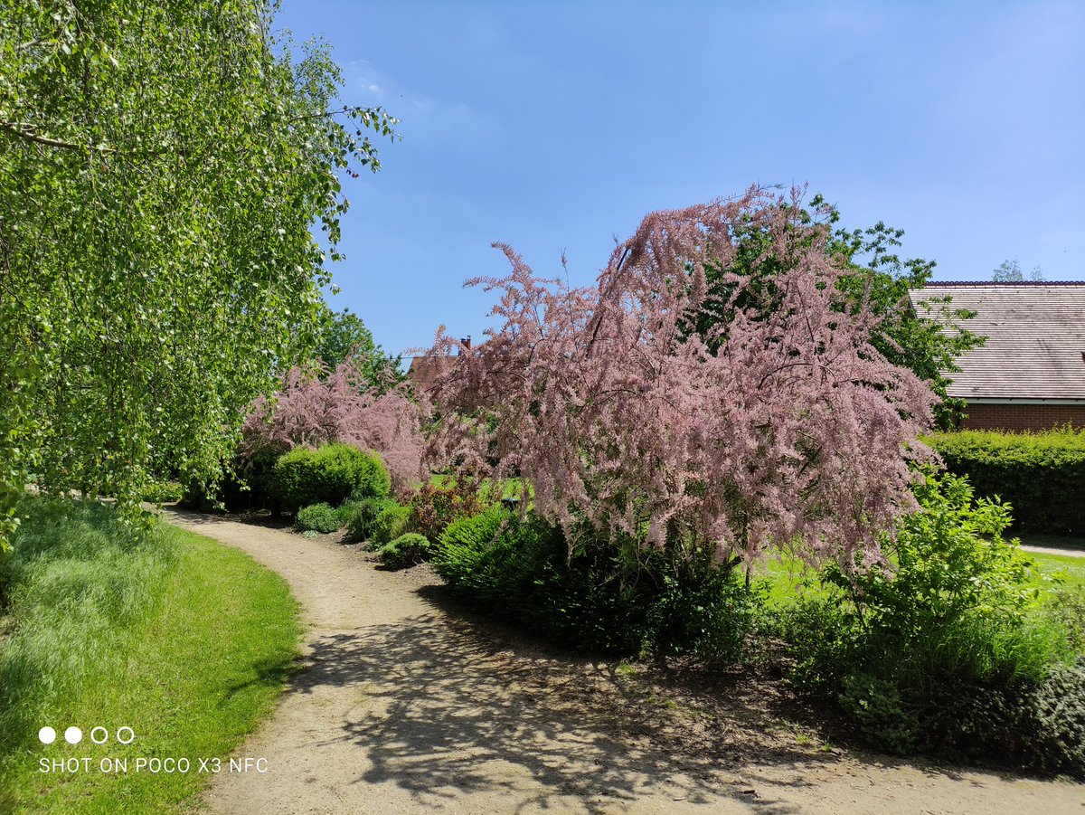 crazy_backpack's tweet image. Beautiful Oxfordshire

#Oxfordshire #UK #England #Nature #Travel