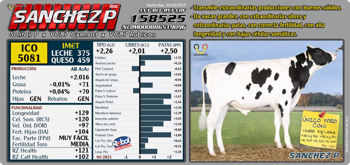ImportExportBAS's tweet photo. SANCHEZ P  158525  ( NLDM 0886519096 )
( SOLITAIR P  x  VG87 GYMNAST  x  VG87 RUBICON )
ICO 5081  ( 04/21)

>EXTRA..PRODUCCIONES  ( + 2016 KG )
>BUENOS SOLIDOS  ( + 71 KG - Gra )  ( + 70 KG - Pro )
> TIPO  ( + 2,26 ) ,  UBRE  ( +2,01 ) , PATAS  ( +2,50)
>ALTA LONGEVIDAD ( +129 ) https://t.co/BPIpmqlfX6