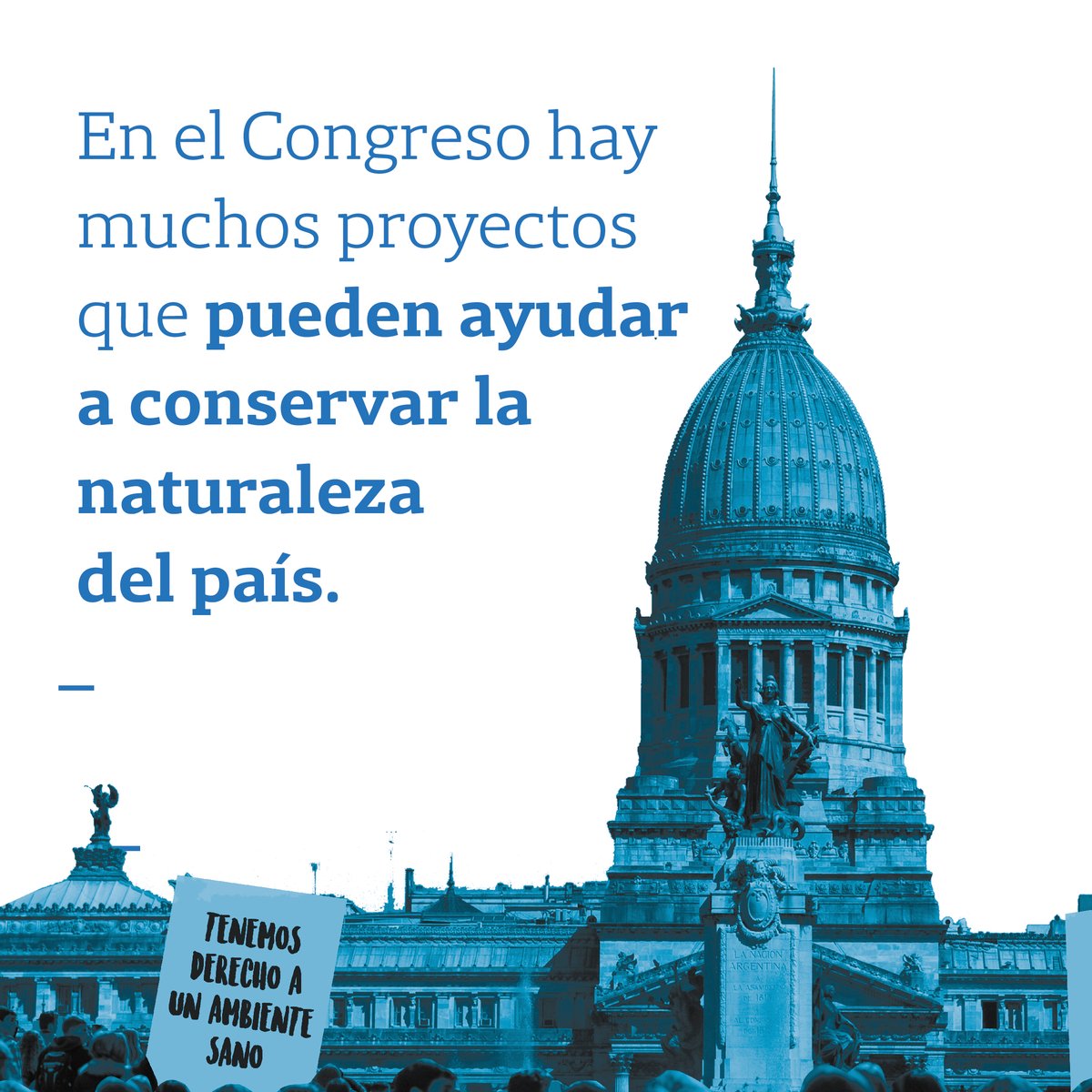 Vida_Silvestre's tweet photo. ¿Sabías que en el Congreso hay muchos proyectos que pueden ayudar a conservar la naturaleza en la Argentina?🇦🇷♻️

Podés seguir su avance en
📍https://t.co/wDUIiUv9yc

@DireLegislativo @ecohouseok @farnargentina @LANACION 

#DiaMundialDelMedioAmbiente
#MonitorLegislativoAmbiental https://t.co/XXWCxn9I4b