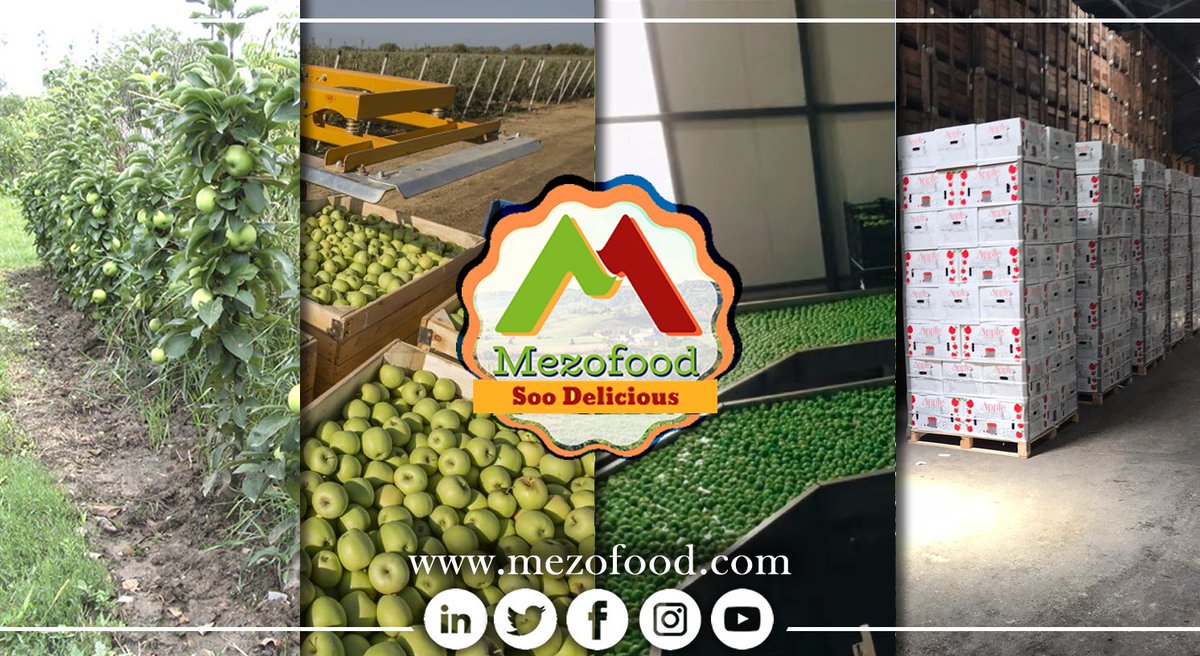 mezofood's tweet photo. Turkey One of the biggest Fresh Fruit &amp; Vegetables exporter. 
https://t.co/WdqOpjuu6r (Mobile/ What's app)

#grannysmith #grannysmithapples #fruitsandvegetables #applefruit #fruitexport #appleexport #grower #agriculture  #mezofood #farmer #applepackaging #appleharvest https://t.co/wwyPtilGeD