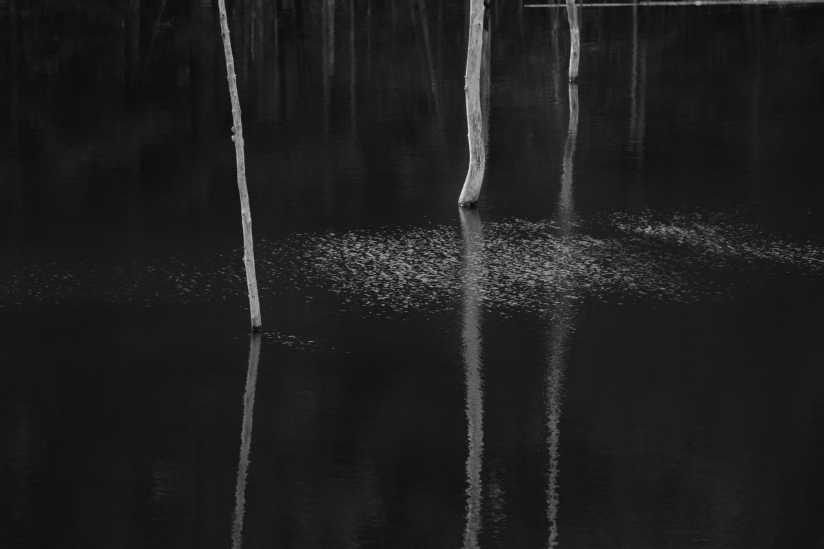 Peter Bowers (@peterbowers) on Twitter photo 