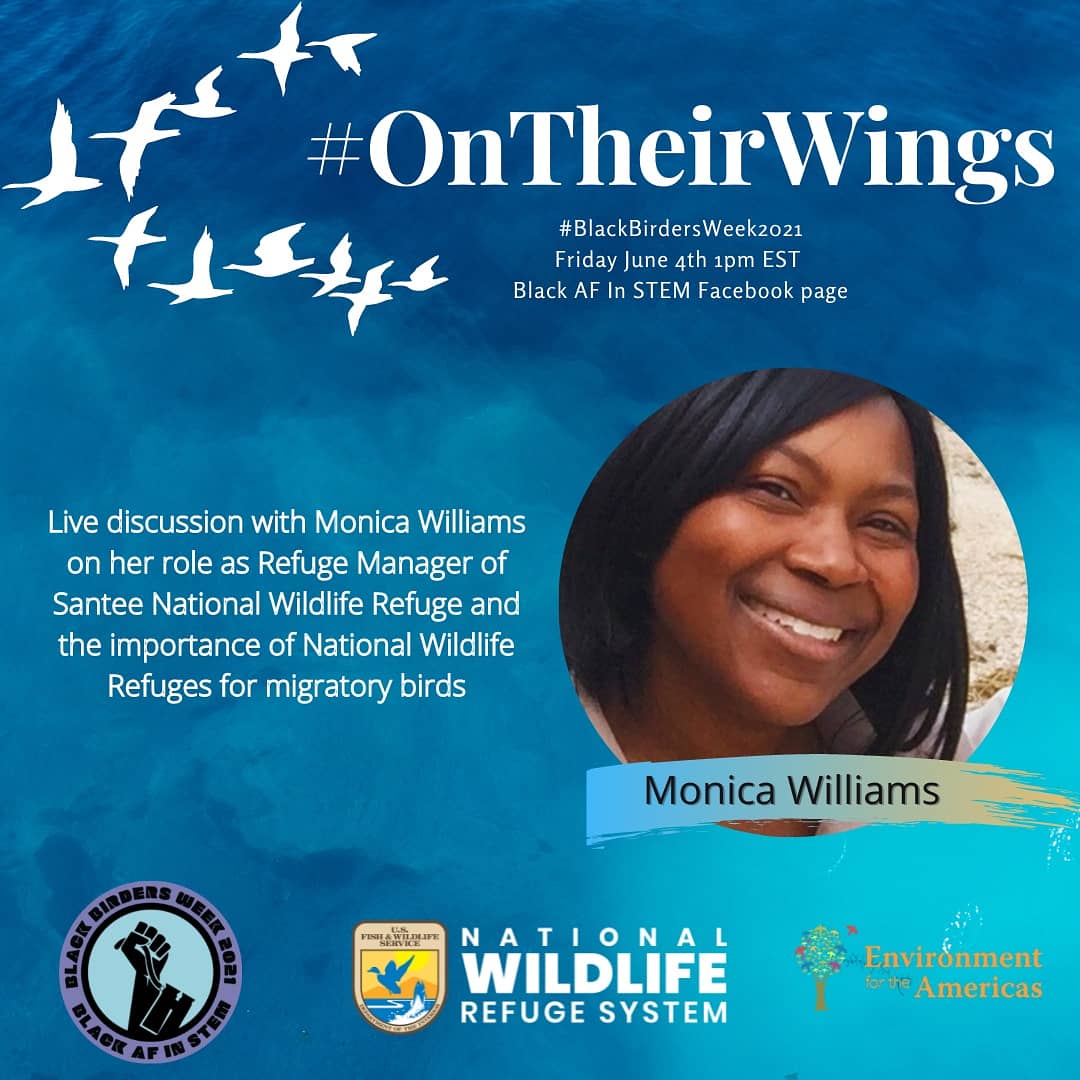 Starting soon at 1pm Eastern! Join me for a chat with Wildlife Refuge Manager, Monica Williams! Quick registration link available here:
fb.me/e/1gqRuu5pT

#BlackBirdersWeek #OnTheirWings