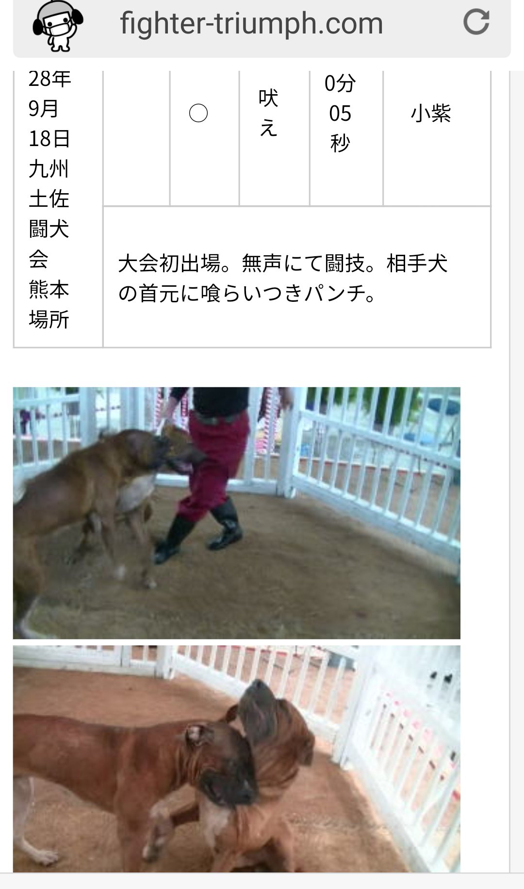 Kumiko T Co Ynpnnzixd8 が正しいです 申し訳ありませんm M Twitter