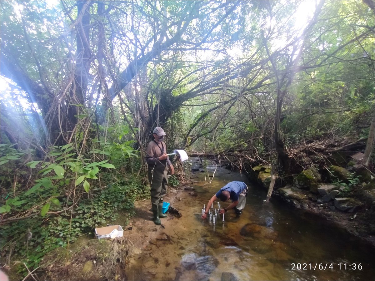 apetijo's tweet photo. Second day measuring #river metabolism in the north of Madrid within @URBIFUN1 project. After so many time in the lab and in front of the computer I realised that I missed field experiences more than I thought...those days that you sleep like a baby! #fieldwork #limnology https://t.co/2ZJquwY531