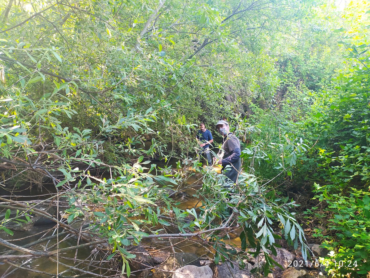 apetijo's tweet photo. Second day measuring #river metabolism in the north of Madrid within @URBIFUN1 project. After so many time in the lab and in front of the computer I realised that I missed field experiences more than I thought...those days that you sleep like a baby! #fieldwork #limnology https://t.co/2ZJquwY531