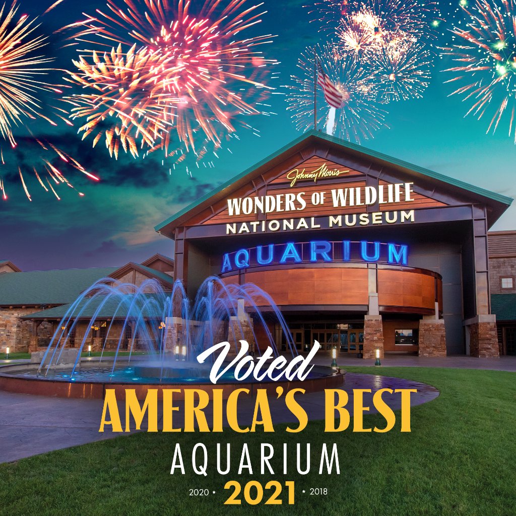Cabela's on Twitter "📣 The results are in... WOWaquarium has been