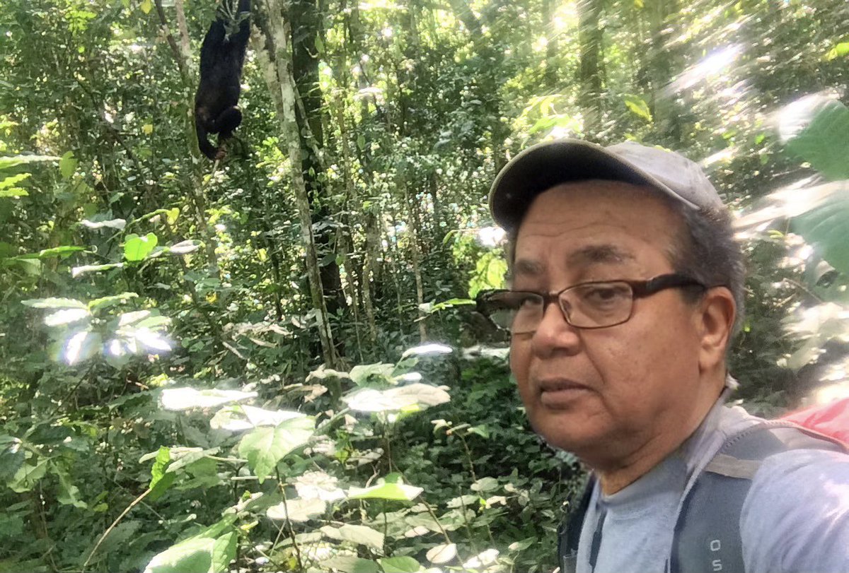 Hiking in the rainforest today, look what i found