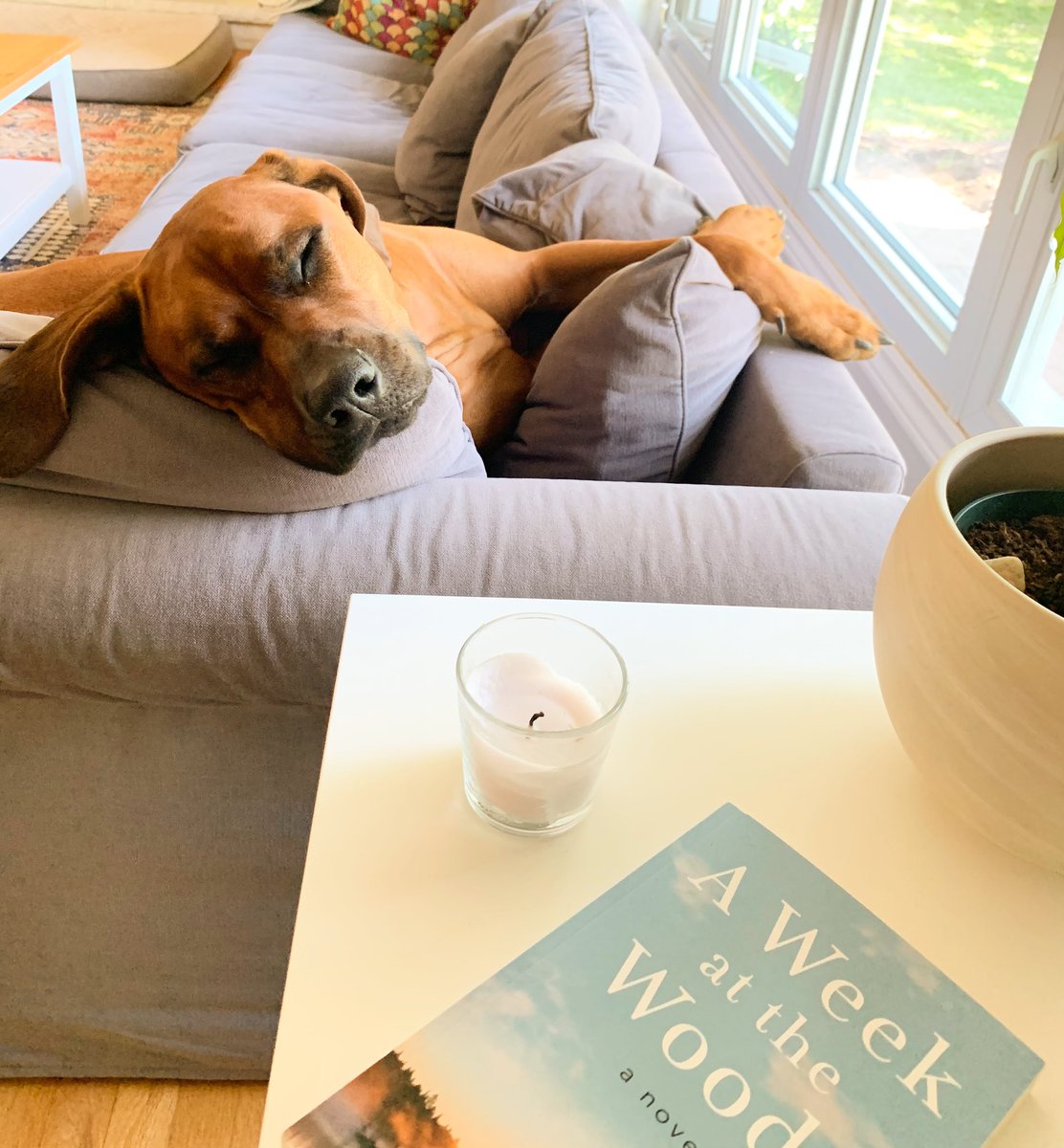 bectaylorwrites tweet picture