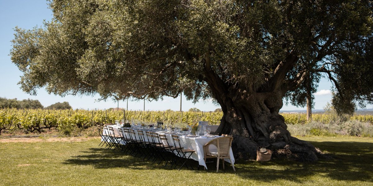 JorgeCarmo9's tweet photo. #foodies #Algarve #Portugal #BA #bahighlife 🇵🇹☀️🍴 The taste tour: Algarve. Audrey Gillan reveals where to sample the finest Southern Portuguese cuisine, from the best #markets for produce to where to enjoy stunningly fresh #seafood and local #vinho 🍷👉 https://t.co/a3Ak40npsp https://t.co/7IHPNfruru