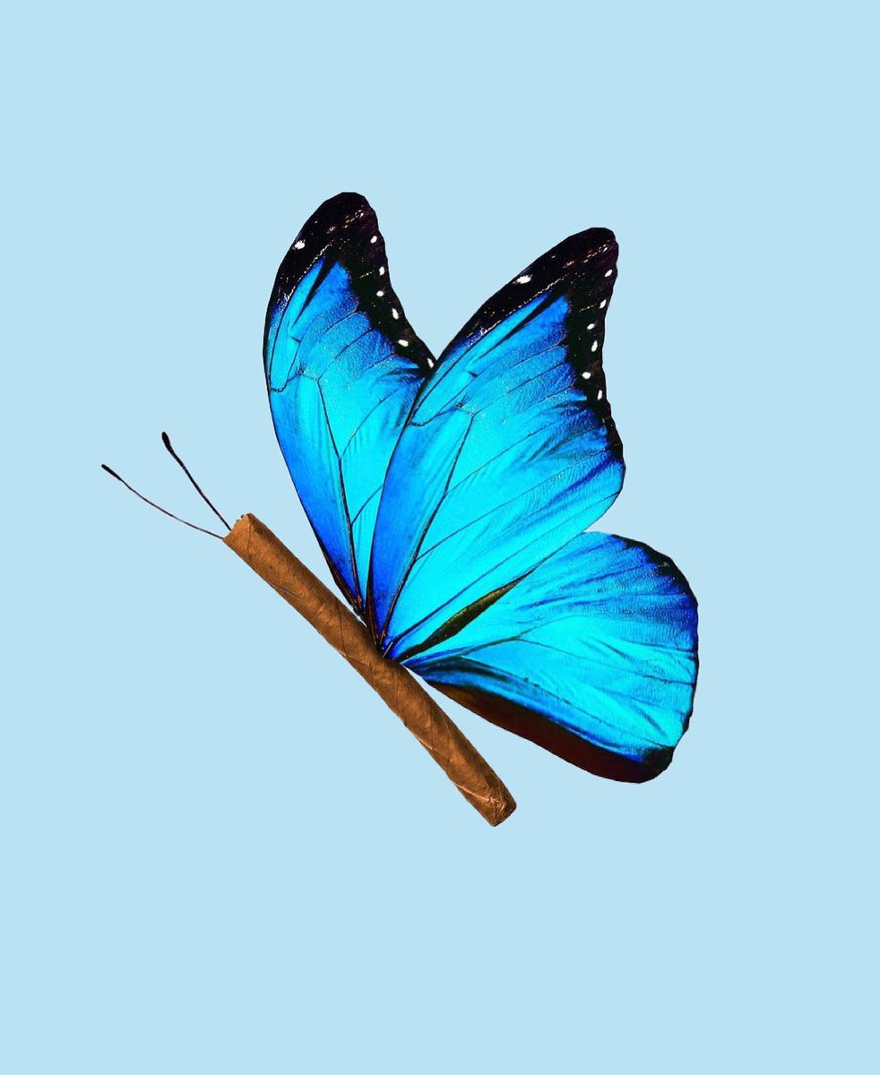 Fly high Friday! #bluntandcherry