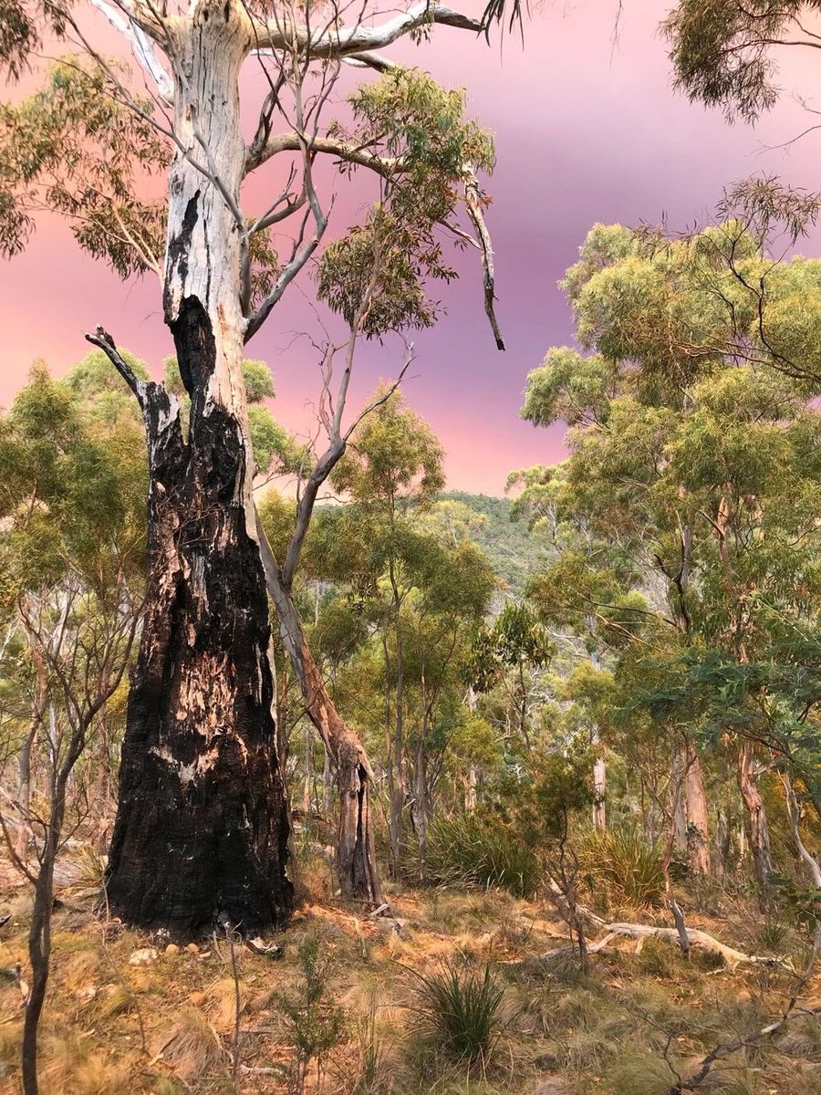 City of Hobart recognizes #climate change is a global issue requiring local solutions. Tasmanian councils are joining together with <a href="/UTAS_/">University of Tasmania</a> sharing information to improve our environmental practices &amp; outcomes.
<a href="/PeterGutwein/">Peter Gutwein</a> <a href="/sussanley/">Sussan Ley</a> #ClimateEmergency 
climatefutures.org.au/projects/what-…