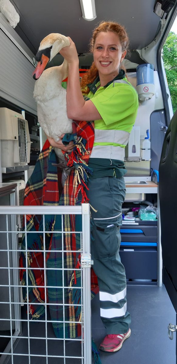 Dierenambulance Amsterdam tweet media