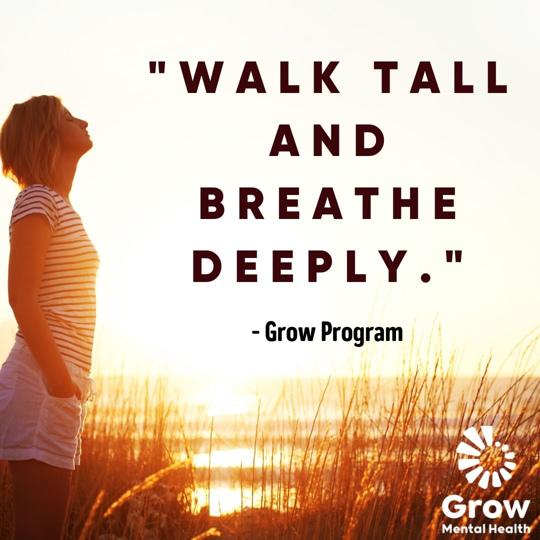GROW_Ireland's tweet photo. You can do this 💪For more inspiration see https://t.co/c6sf3ZUQzD #mentalhealthmatters https://t.co/zVuxBajTUW