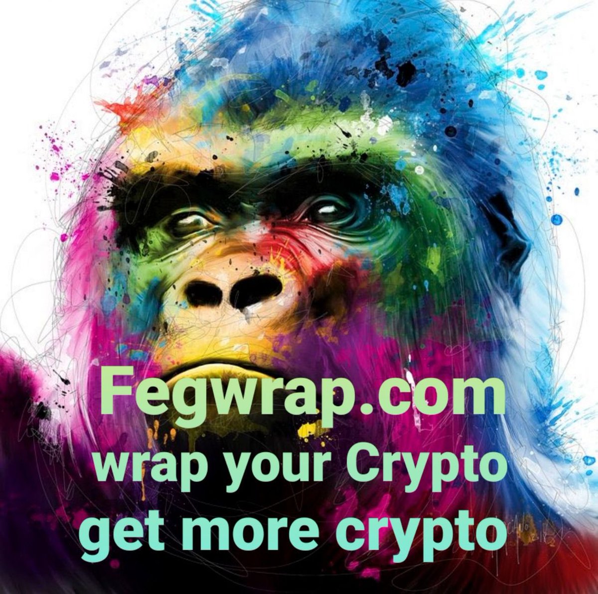 FEG (Feed Every Gorilla) tweet media